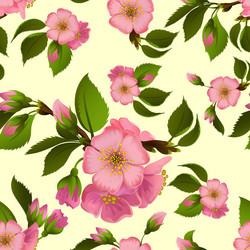 seamless pattern with spring apple blossom vector image