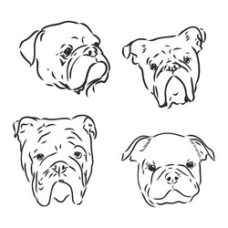 Dogs characters doodle sticker english bulldog vector