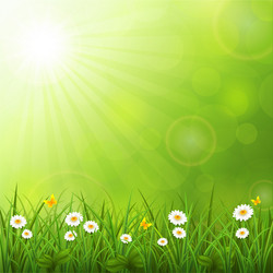 Spring background with green grass and flowers Vector Image