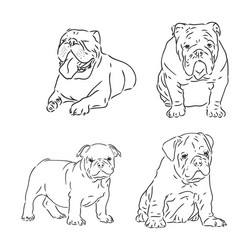 Dogs characters doodle sticker english bulldog vector