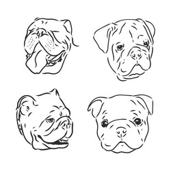 Dogs characters doodle sticker english bulldog vector