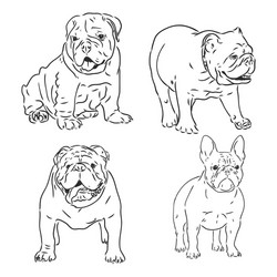 Dogs characters doodle sticker english bulldog vector
