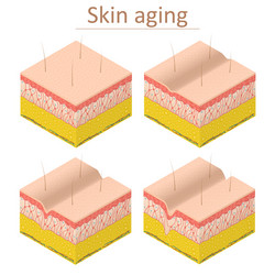 Skin Aging Vector Images (over 12,000)