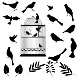 Elegant Bird Cage Vector Image
