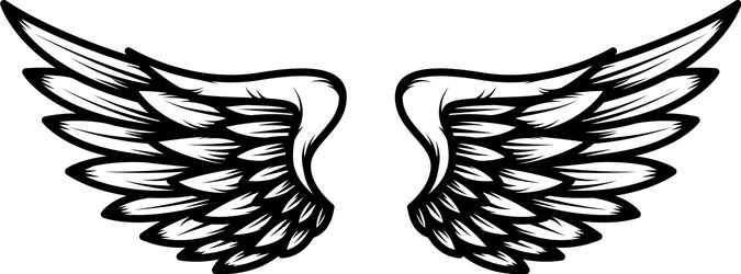 Hand drawn eagle wings isolated on white Vector Image