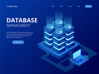 Database Network Management Big Data vector image