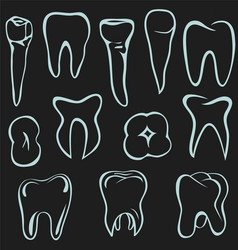 Human teeth vector