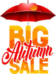autumn sale Vector Image