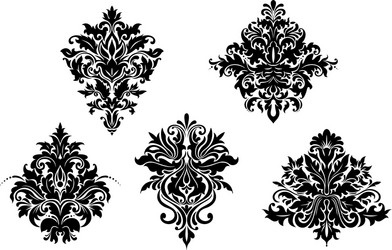 Scrolling calligraphic floral design Royalty Free Vector