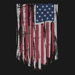 Distressed American Flag Grunge Vector Image