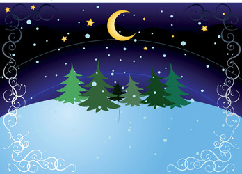 Winter night vector