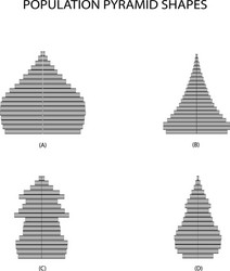 Multiple Population Line Graph Pyramid Population Pyramid Vector Images (over 230)