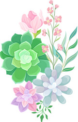 succulent echeveria floral arrangement Vector Image