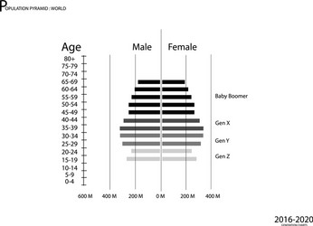 2016-2020 population pyramids graphs with 4 genera vector image