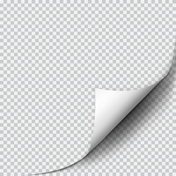 Page curl with shadow on blank sheet of paper vector