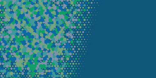geometric multi size hexagon with color vector
