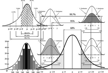 standard deviation diagram with sample size chart vector image