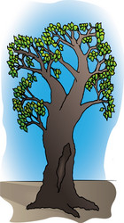 branchy tree with hollow trunk vector