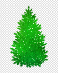 Christmas Spruce Tree with Glitter Vector Image