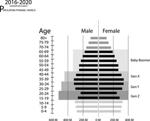 2016-2020 population pyramids graphs with 4 genera vector image