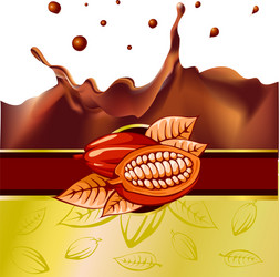 cocoa bean design with chocolate splash vector image