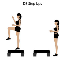 Db steps up exercise vector