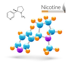 Nicotine Molecular Structure 3D vector image