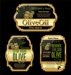 Olive oil labels and design elements vector