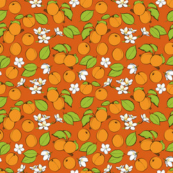 a set of seamless patterns apricots leaves vector image