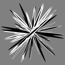 random radial shape abstract geometric element vector image