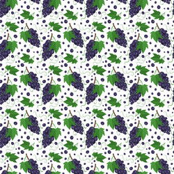 Seamless pattern with dark grapes on branches vector