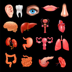 Realistic sick human organs set anatomy Royalty Free Vector