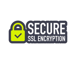Secure connection icon isolated on white vector