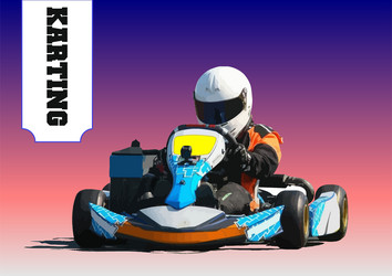 Go kart racer isolated over color background 3d vector