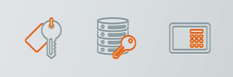 set line safe marked key and server security vector image