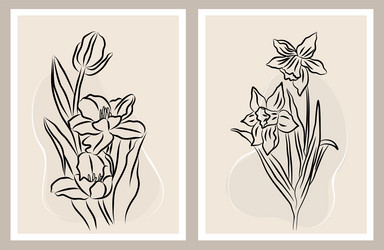 tulip and daffodil flowers line drawings set vector