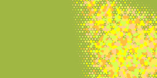 geometric multi size hexagon with color vector