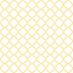 Intricate Lattice Pattern vector image