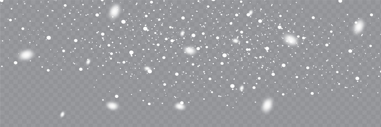 snowfall snowflakes in different shapes and forms vector image