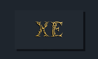 Initial letters xe monogram logo design bundle Vector Image