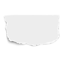 white rectangular paper tear with soft shadow vector image