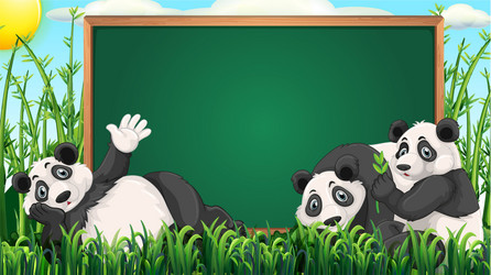 board design with three pandas on grass vector