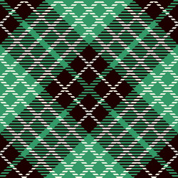 seamless tartan pattern vector