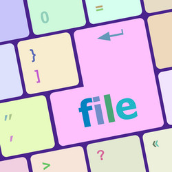 file button on computer pc keyboard key vector image