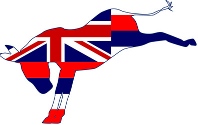Hawaii Donkey Flag Vector Image