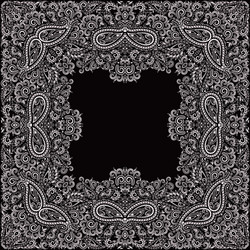 bandana paisley design - black and white ornament Vector Image
