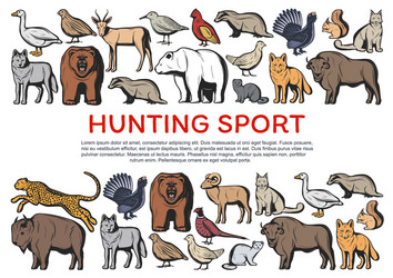 wild forest animals and birds hunting sport Vector Image
