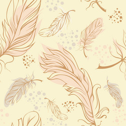 Feathers Royalty Free Vector Image - VectorStock