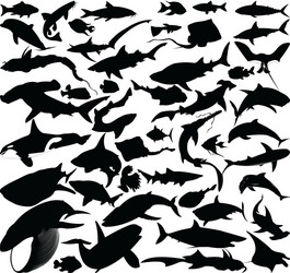 Fish Silhouettes Collection Vector Image