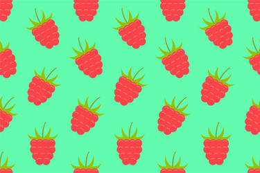 seamless pattern with raspberry vector image